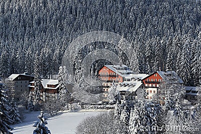 Å piÄÃ¡k, Snowy Trees, Winter landscape, Å umava, Czech Republic Stock Photo